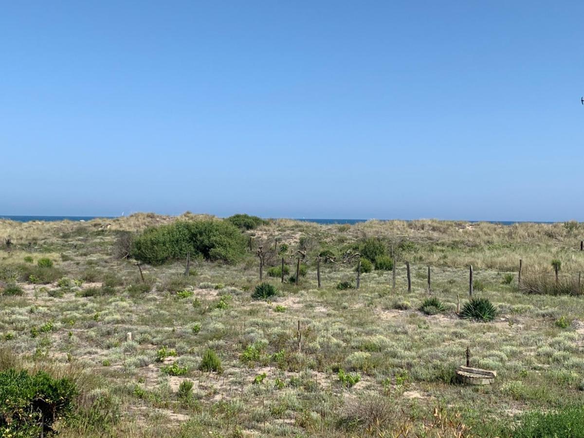 Mon Petit Paradis: Beachfront Dune Views with Private Terrace Marseillan  Exterior photo